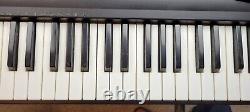Casio LK-30 Piano Synthesizer Keyboard Electric 61-Key Lighted Keys & Stand